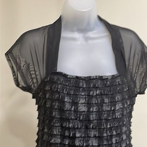 NWOT R&M Richards black and grey sheer layered dress. Size 8 M medium - Picture 2 of 10